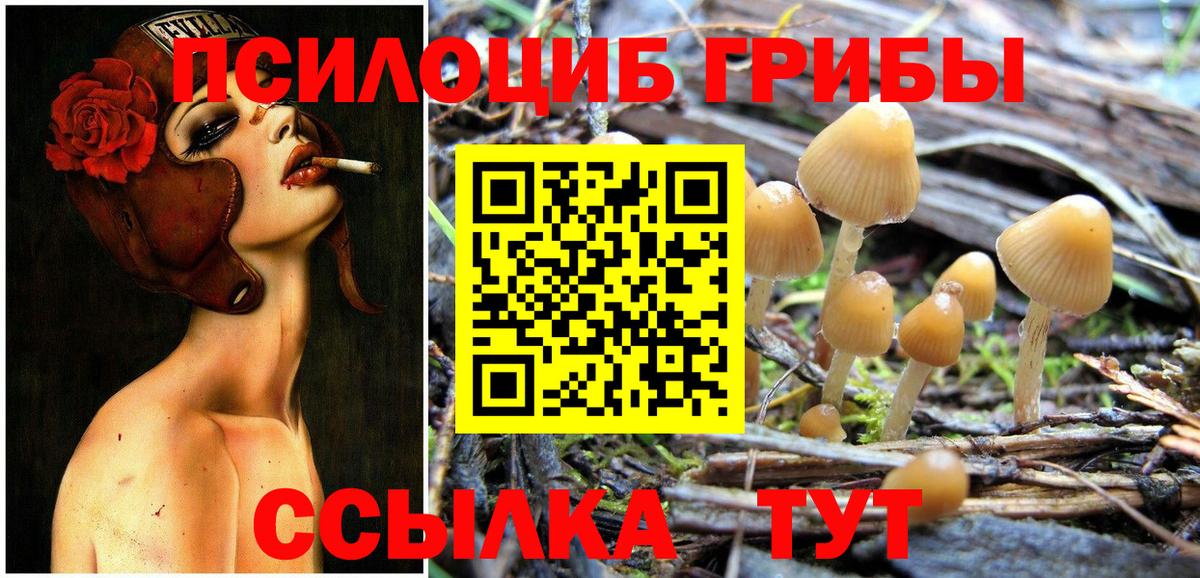 Галлюциногенные грибы Psilocybe  дарнет шоп  Всеволожск  Галлюциногенные грибы мицелий  Вход с VPN 