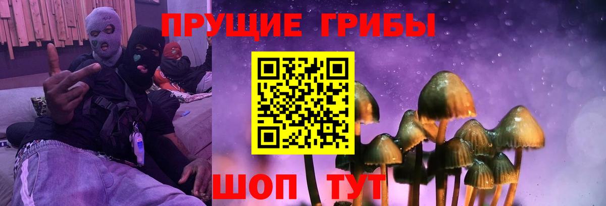 Галлюциногенные грибы мухоморы Всеволожск